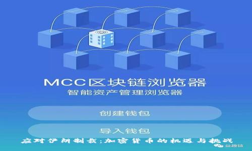 应对伊朗制裁：加密货币的机遇与挑战
