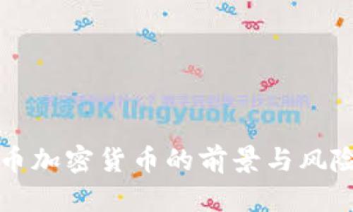 比特币加密货币的前景与风险分析