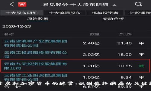 揭开虚拟加密货币的迷雾：识别最终骗局的关键技巧