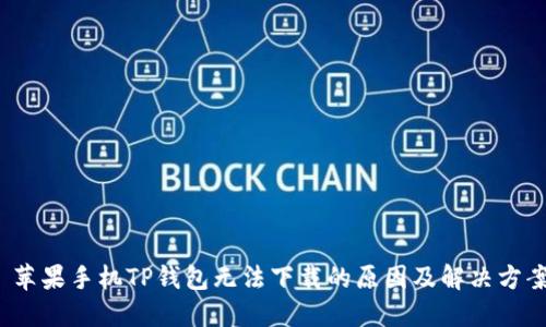  苹果手机TP钱包无法下载的原因及解决方案