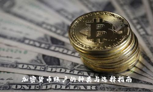 加密货币账户的种类与选择指南