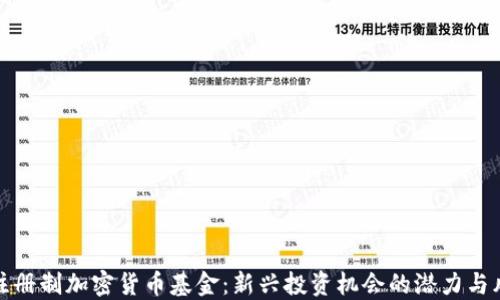 
非注册制加密货币基金：新兴投资机会的潜力与风险