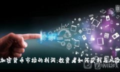 揭开加密货币市场的利润