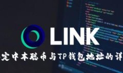 如何绑定中本聪币与TP钱包