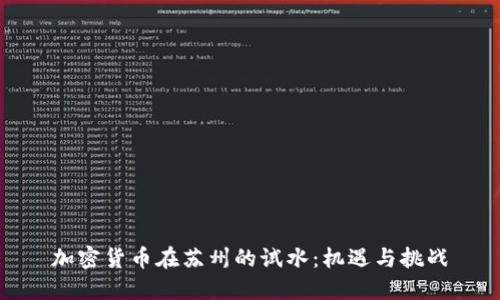 加密货币在苏州的试水：机遇与挑战