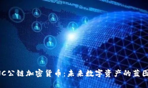 揭秘BNC公链加密货币：未来数字资产的蓝图与挑战
