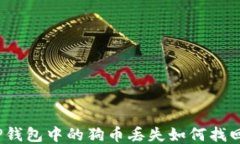 TP钱包中的狗币丢失如何找