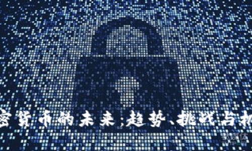 加密货币的未来：趋势、挑战与机遇