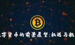加密数字货币的前景展望