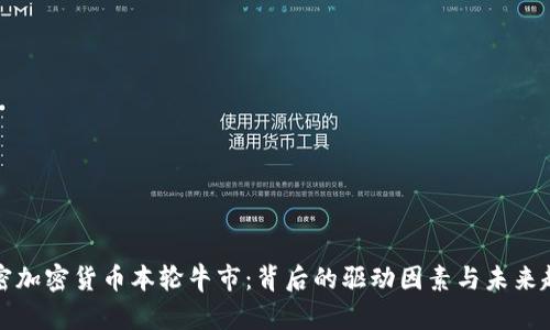 解密加密货币本轮牛市：背后的驱动因素与未来趋势