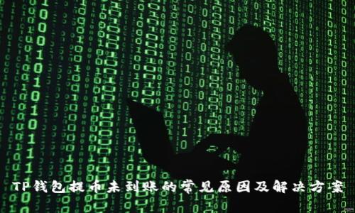 TP钱包提币未到账的常见原因及解决方案