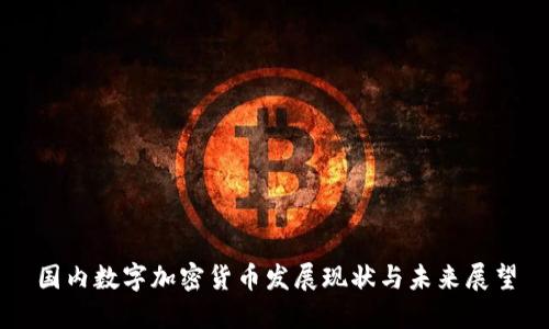 国内数字加密货币发展现状与未来展望