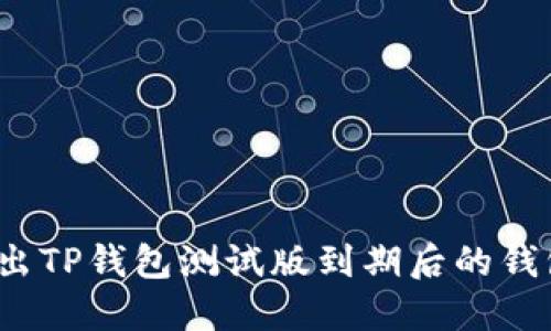 如何导出TP钱包测试版到期后的钱包数据？
