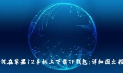 如何在苹果12手机上下载