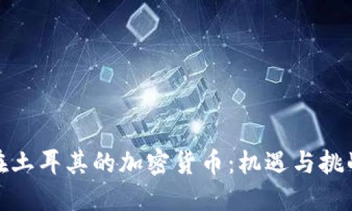 在土耳其的加密货币：机遇与挑战