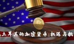 在土耳其的加密货币：机