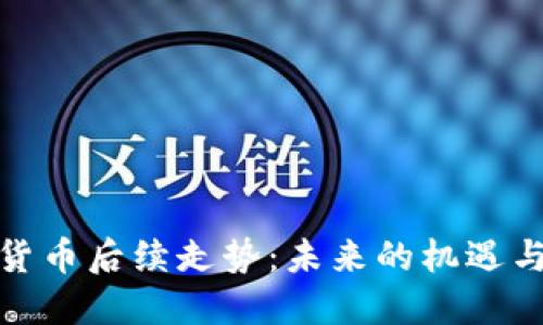 加密货币后续走势：未来的机遇与挑战