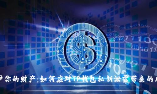保护你的财产：如何应对TP钱包私钥泄露带来的风险
