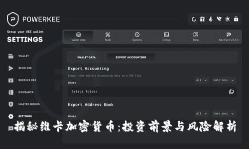 揭秘维卡加密货币：投资前景与风险解析