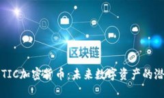 深入了解TIC加密货币：未