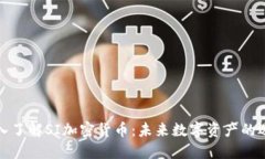 深入了解SI加密货币：未来