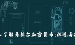 深入了解马绍尔加密货币：机遇与挑战
