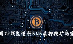 如何使用TP钱包进行BNB质押