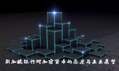 新加坡银行对加密货币的