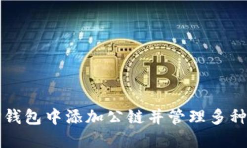 如何在TP钱包中添加公链并管理多种数字资产
