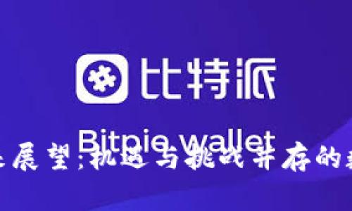 加密货币未来展望：机遇与挑战并存的数字金融时代