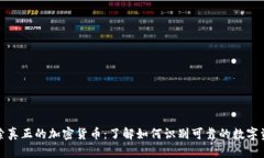 探索真正的加密货币：了