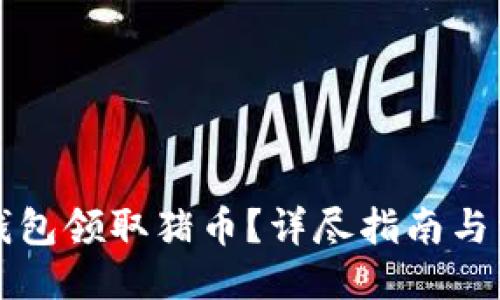 示例

如何通过TP钱包领取猪币？详尽指南与常见问题解答