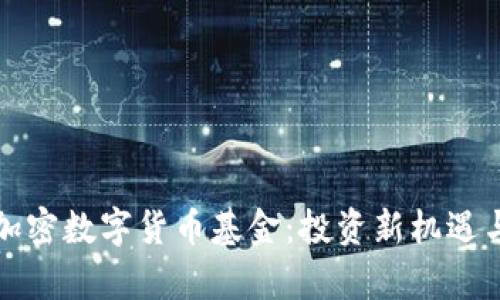 全球流通加密数字货币基金：投资新机遇与风险解析
