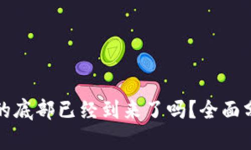 加密货币市场的底部已经到来了吗？全面分析及未来展望
