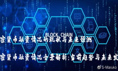 加密货币融资情况的现状与未来预测

加密货币融资情况全景解析：当前趋势与未来发展