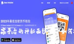 揭开加密货币数字平台的