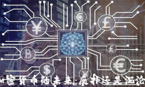 
加密货币的未来：反扑还是沉沦？