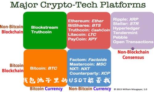 探讨TP钱包池子里的USDT能否找回的解决方案