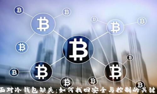 
面对冷钱包缺失：如何找回安全与控制的关键？