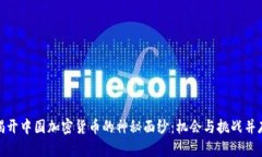 揭开中国加密货币的神秘面纱：机会与挑战并存
