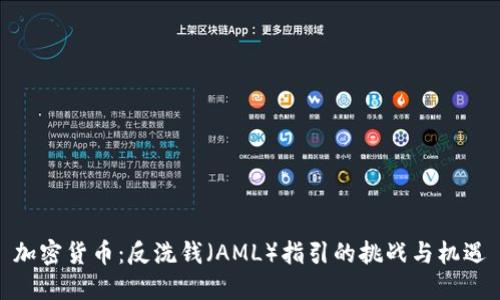 加密货币：反洗钱（AML）指引的挑战与机遇