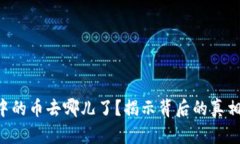 “你的TP钱包中的币去哪儿了？揭示背后的真相和