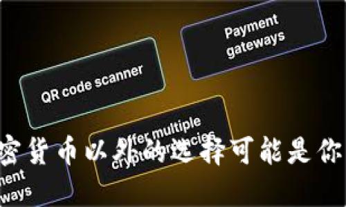 为什么投资于加密货币以外的选择可能是你财务成功的关键？