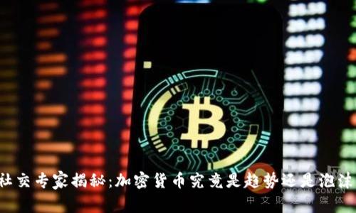 社交专家揭秘：加密货币究竟是趋势还是泡沫？