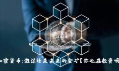 加密货币：泡沫还是未来的金矿？你也在投资吗