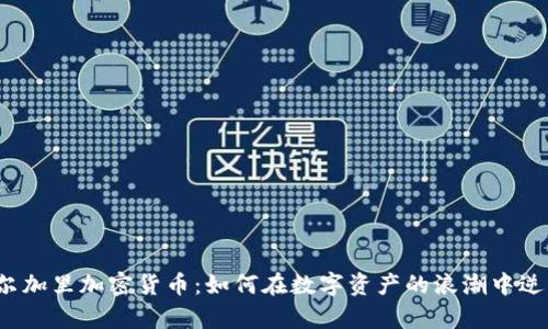 卡尔加里加密货币：如何在数字资产的浪潮中逆袭？