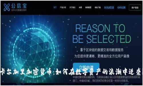 卡尔加里加密货币：如何在数字资产的浪潮中逆袭？