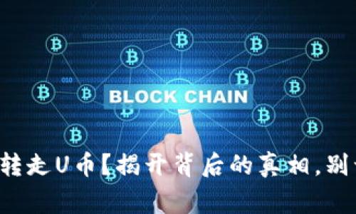 你的TP钱包被转走U币？揭开背后的真相，别让失误成常态！