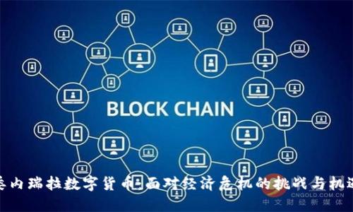 委内瑞拉数字货币：面对经济危机的挑战与机遇