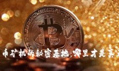 揭秘全球加密货币矿机的秘密基地：哪里才是真